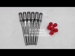 Bộ kết nối ống phun nhiên liệu 2894829