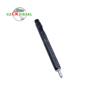 Kim phun nhiên liệu Diesel EJBR04001D 166009384R cho Động cơ Delphi